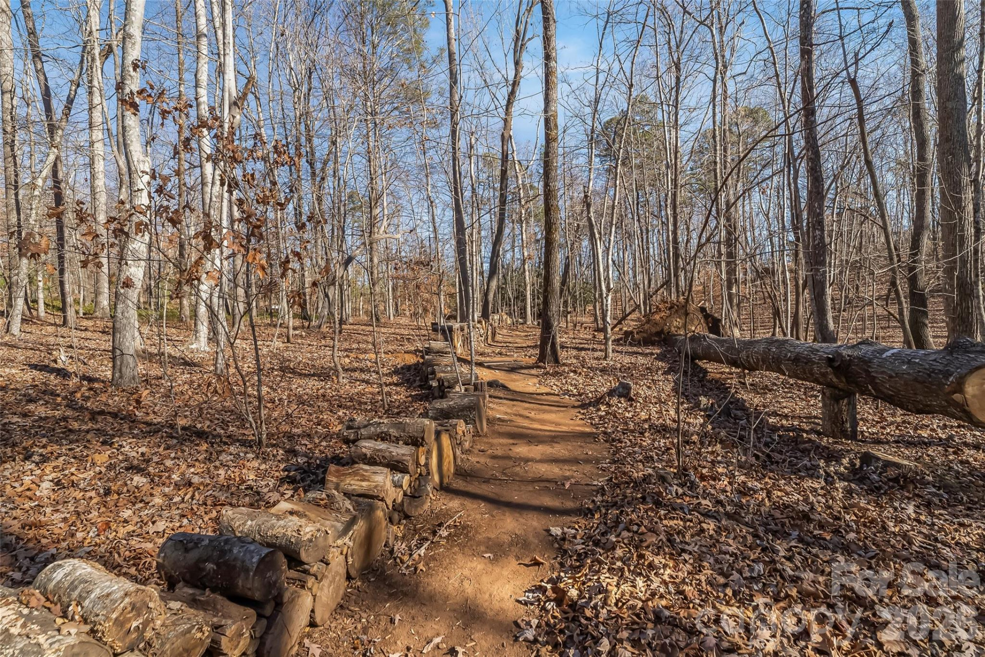 204 Mountain Vista Drive - Photo 28