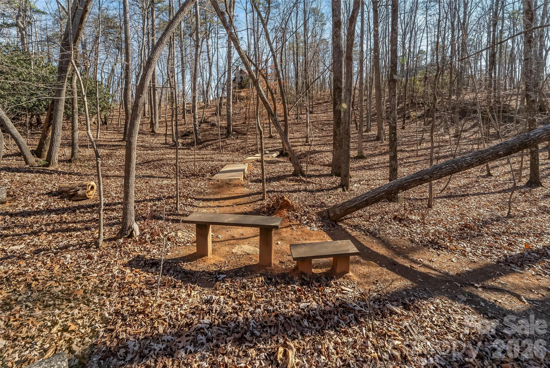 204 Mountain Vista Drive - Photo 38