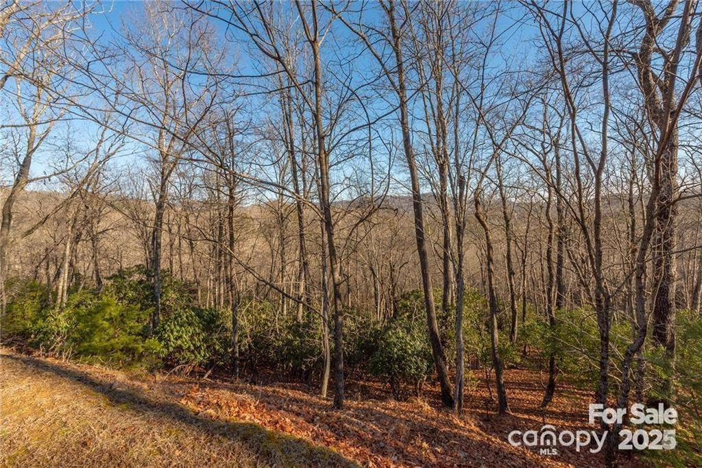 80 Buckhead Trail - Photo 27