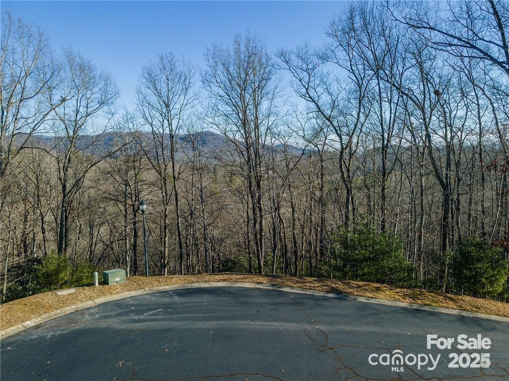 80 Buckhead Trail - Photo 8