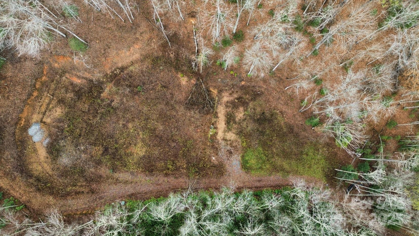 1182 Tunnel Mountain Road - Photo 2