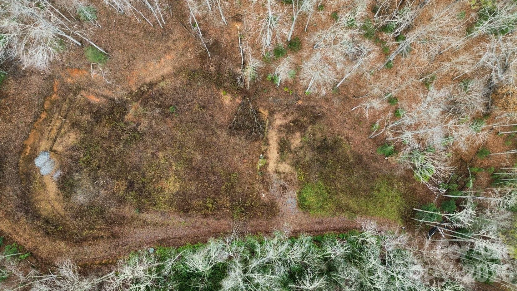 1182 Tunnel Mountain Road - Photo 3