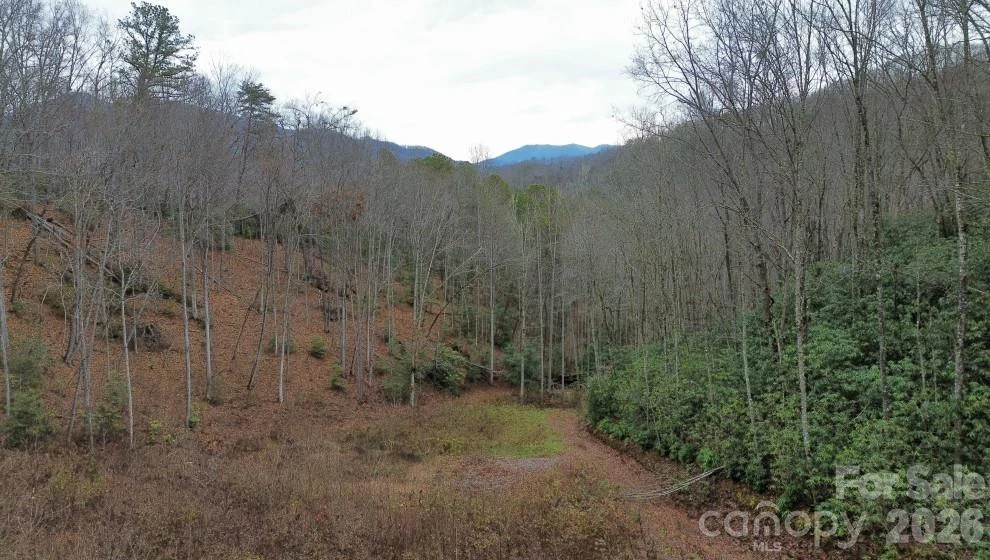 1182 Tunnel Mountain Road - Photo 5