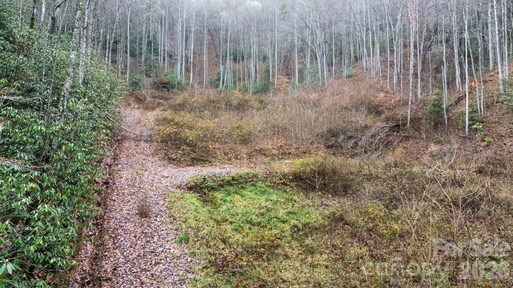 1182 Tunnel Mountain Road - Photo 6