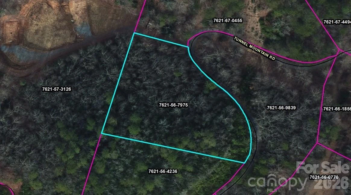 1182 Tunnel Mountain Road - Photo 8