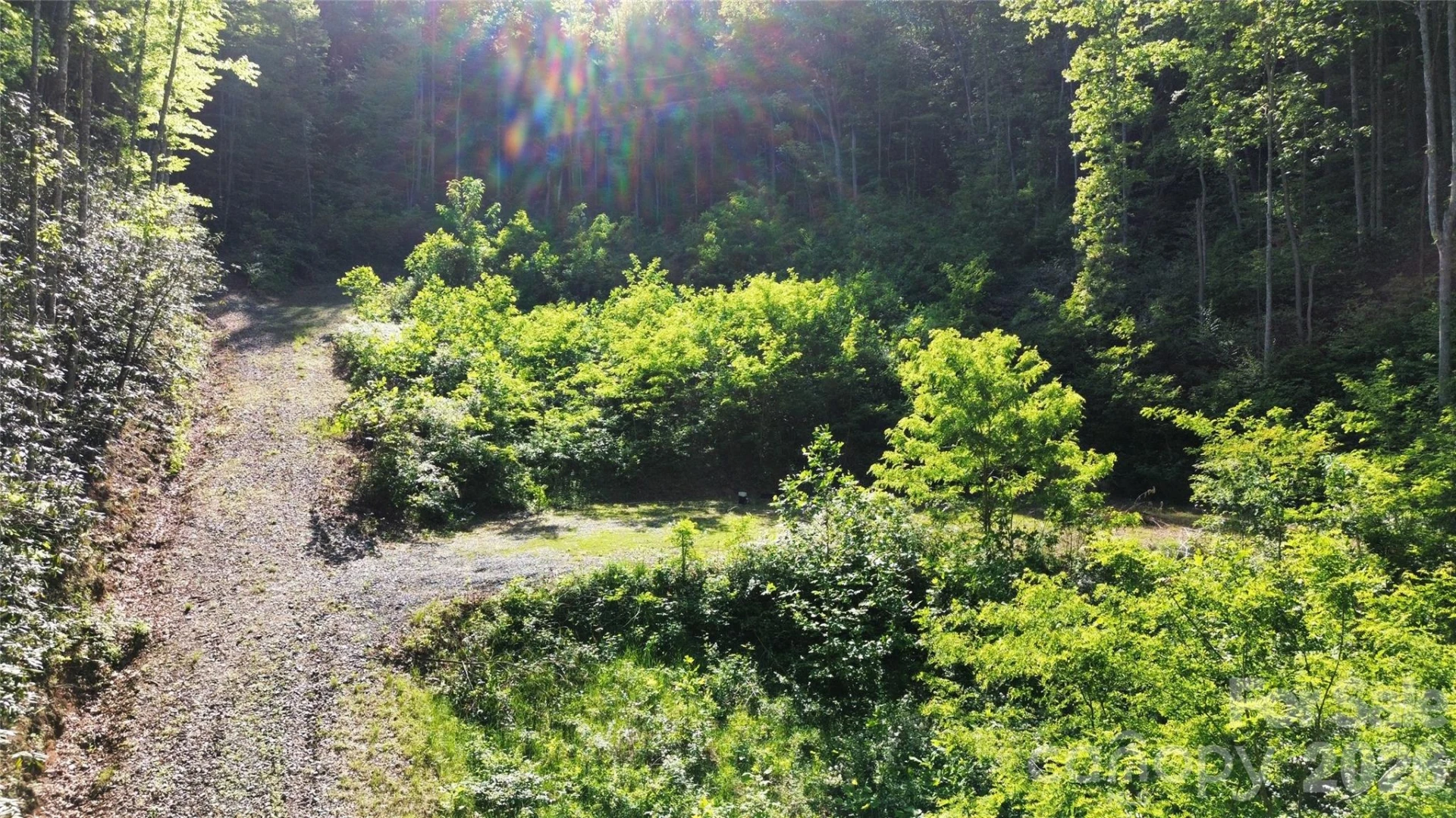 1182 Tunnel Mountain Road - Photo 10