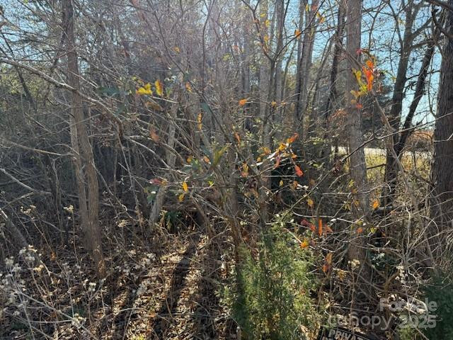 00 US 221n Highway - Photo 2