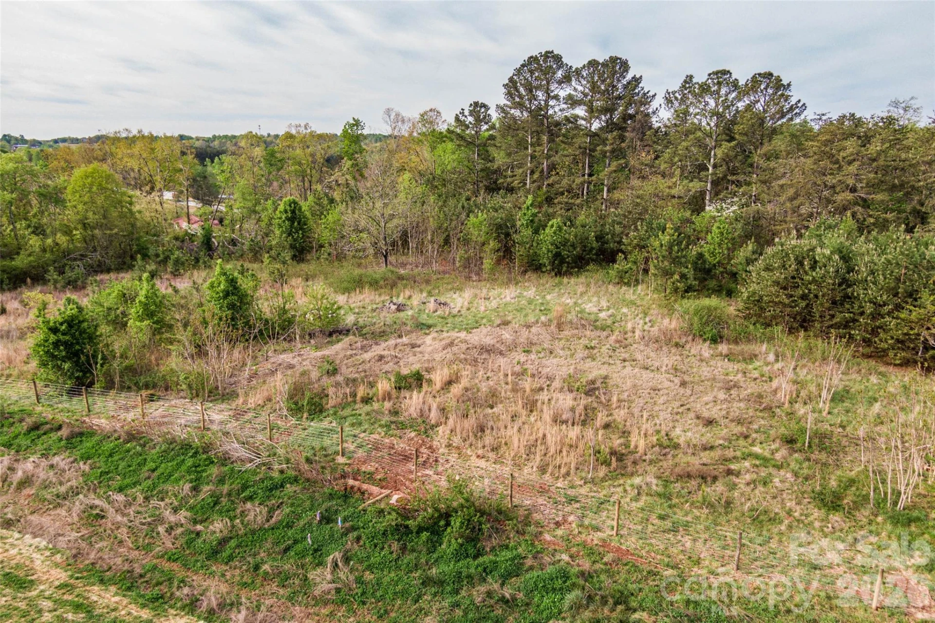 00 US 221n Highway - Photo 15