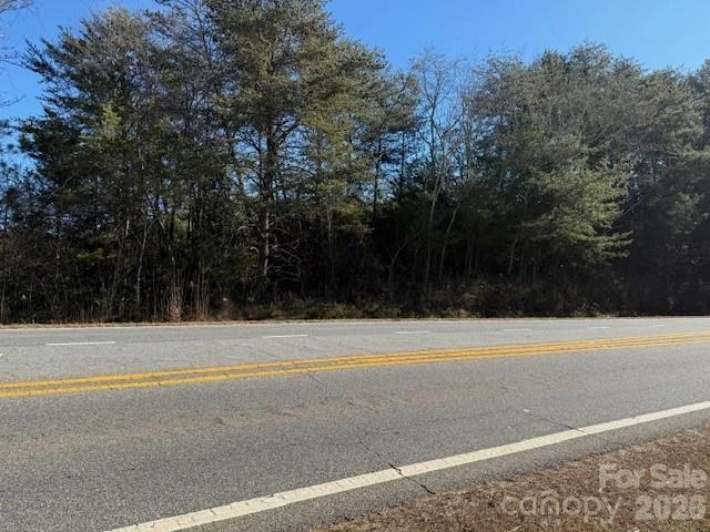 00 US 221n Highway - Photo 21