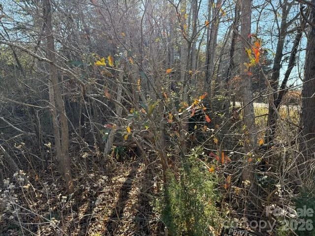 00 US 221n Highway - Photo 22