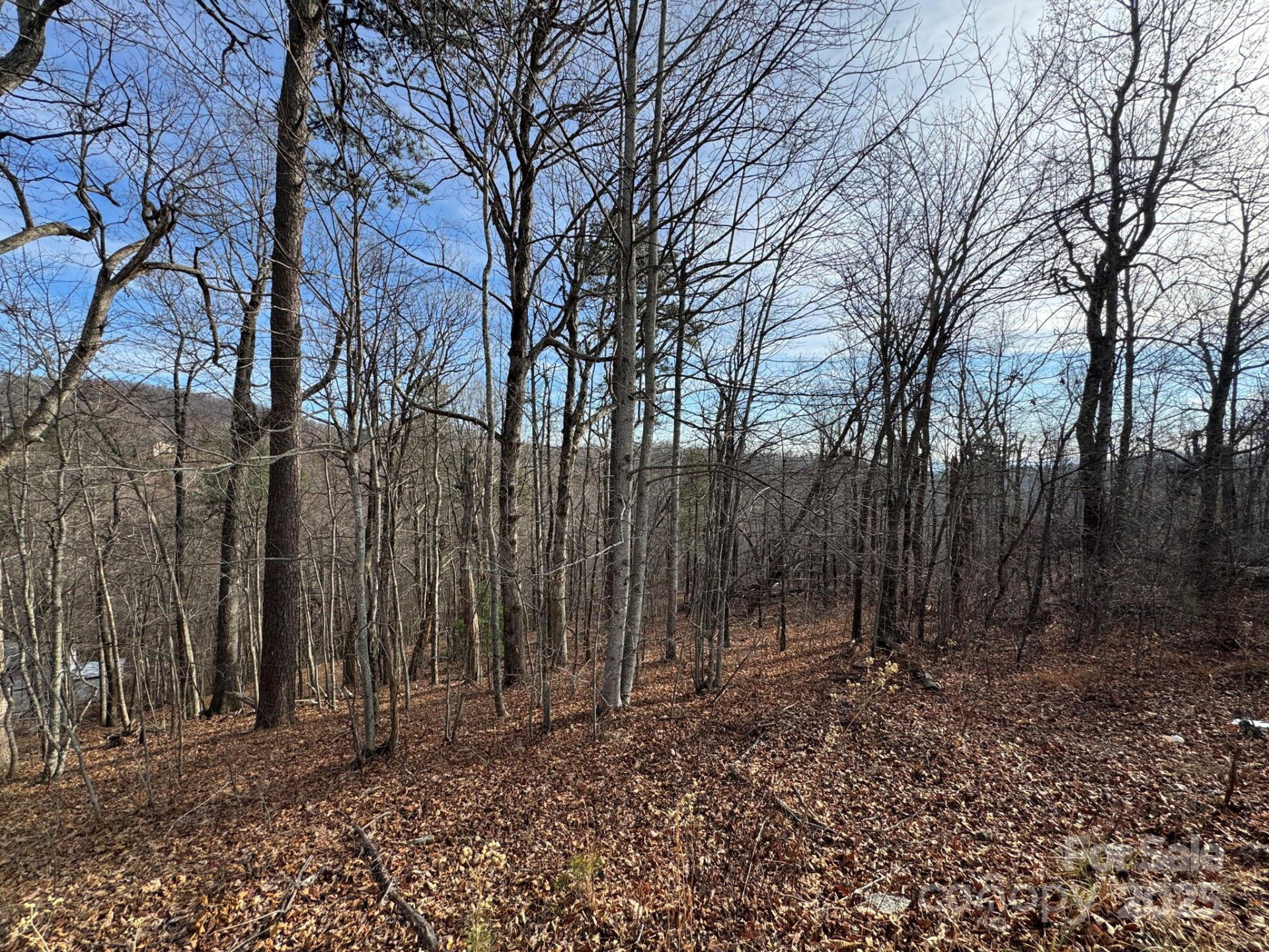 6955 Silver Creek Lane - Photo 3