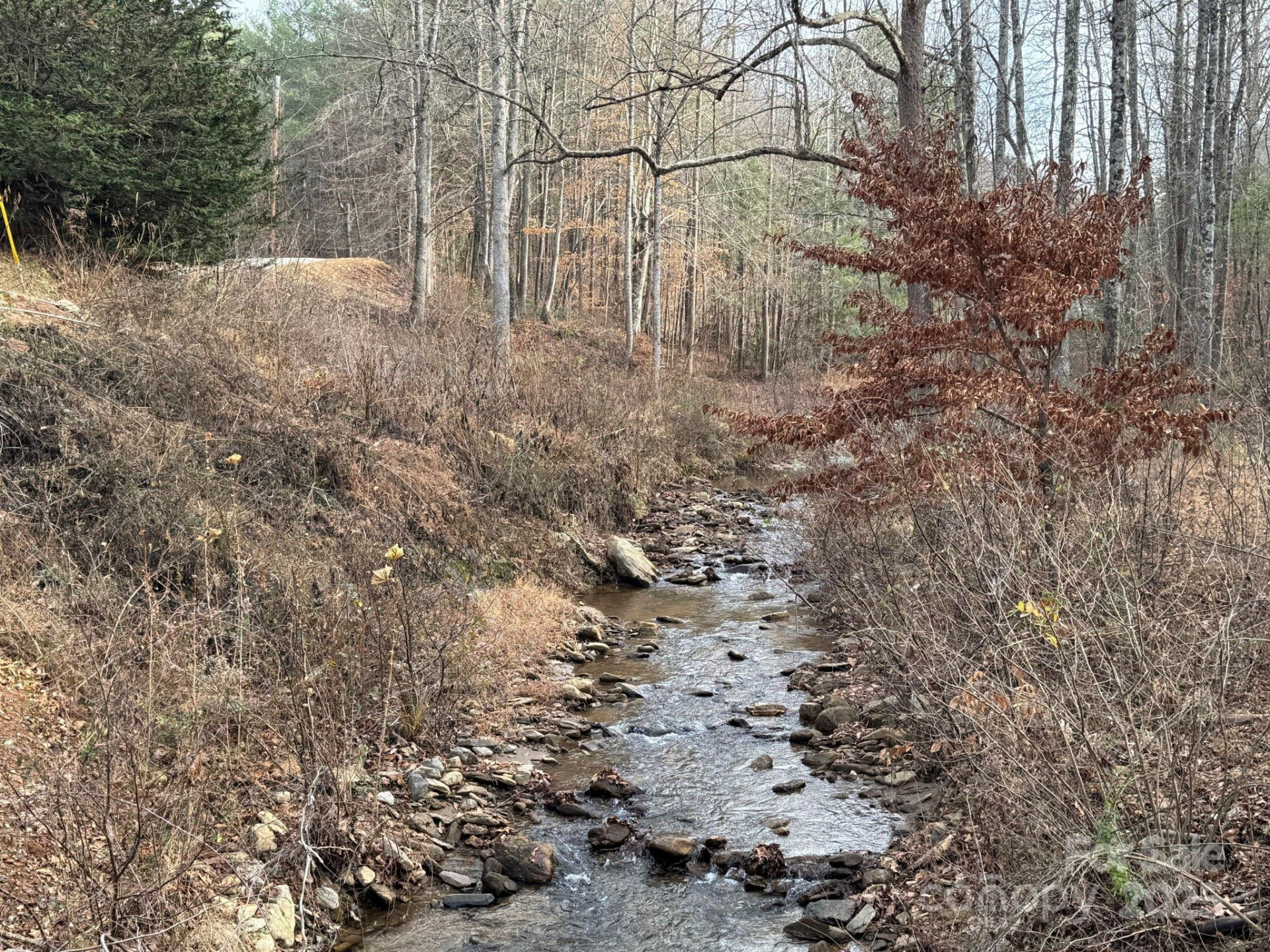 6955 Silver Creek Lane - Photo 8