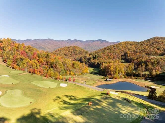 131 Lodestone Drive - Photo 44