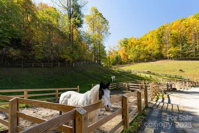 131 Lodestone Drive - Photo 47