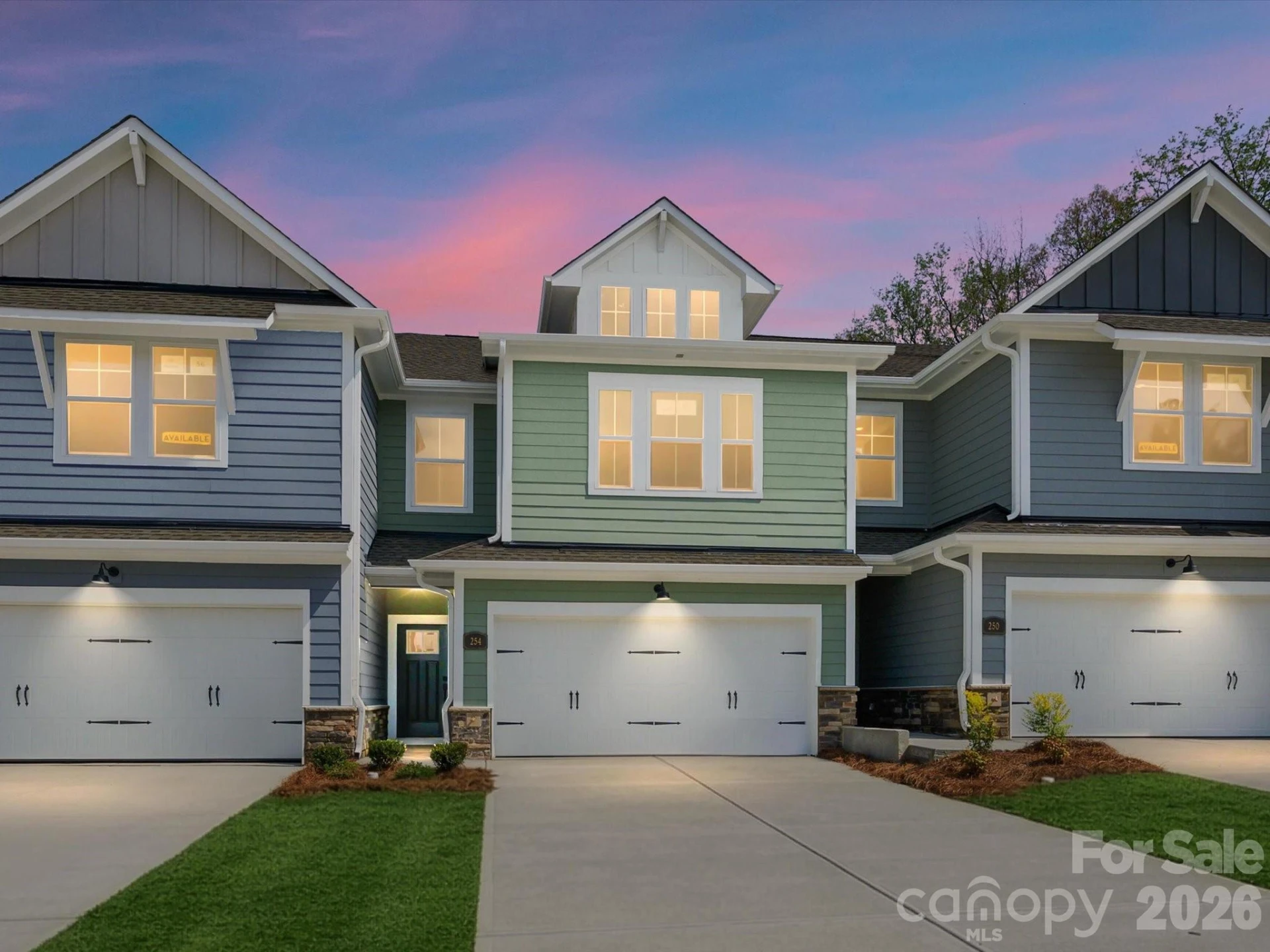 254 Alluvium Lane - Photo 3
