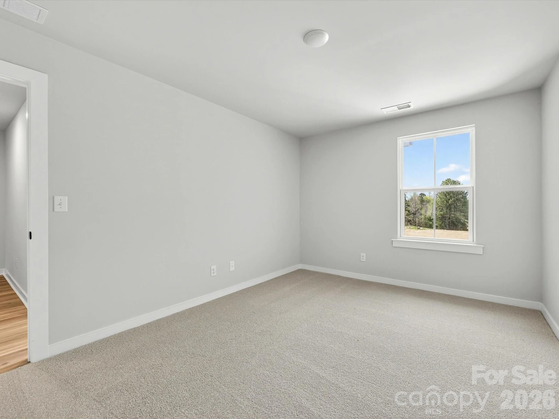 254 Alluvium Lane - Photo 21