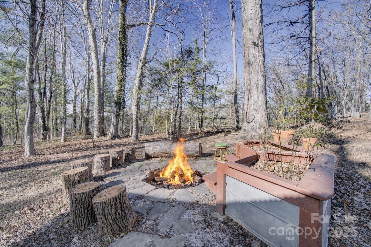 113 Pin Cherry Lane - Photo 11