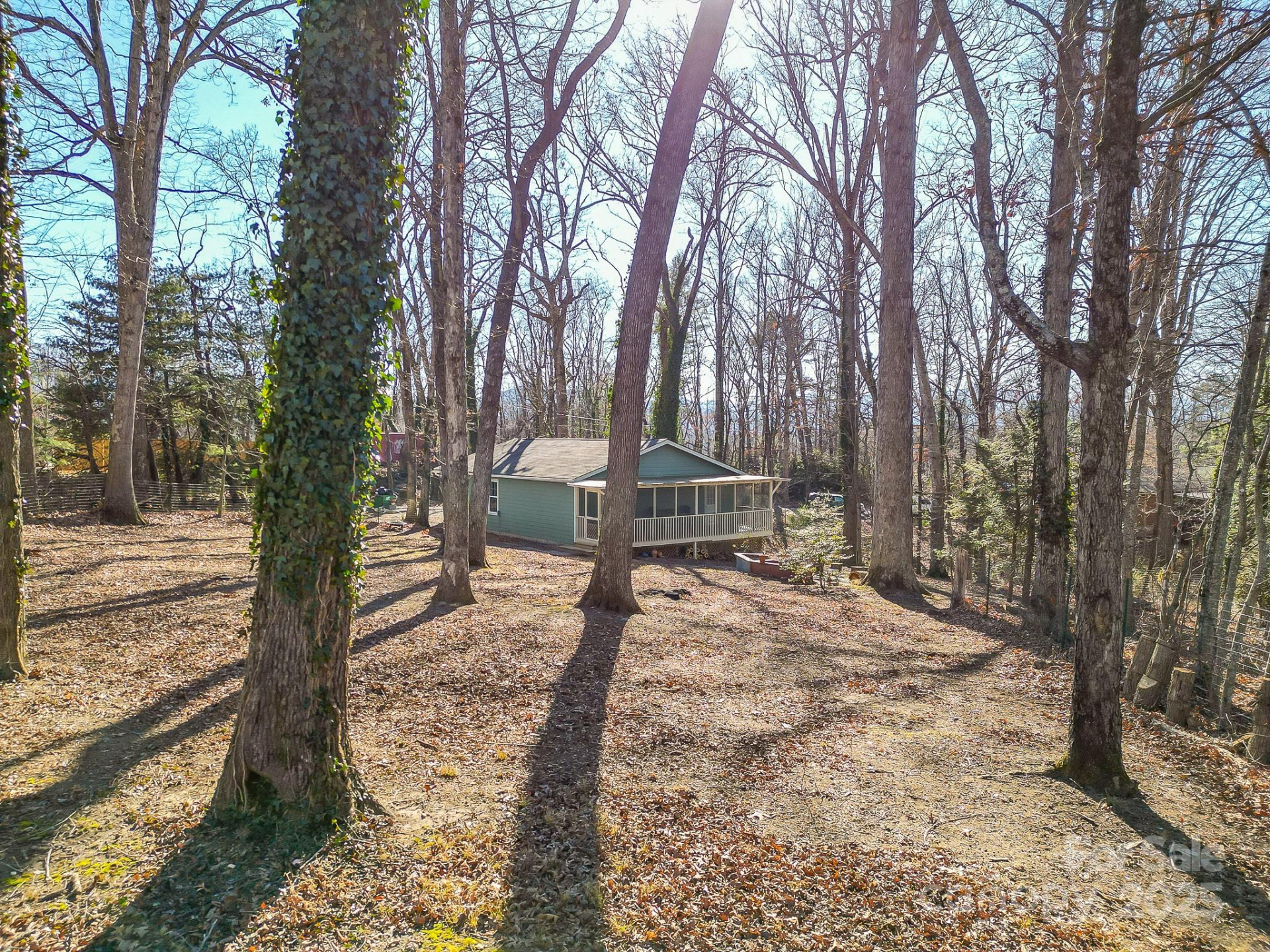 113 Pin Cherry Lane - Photo 12