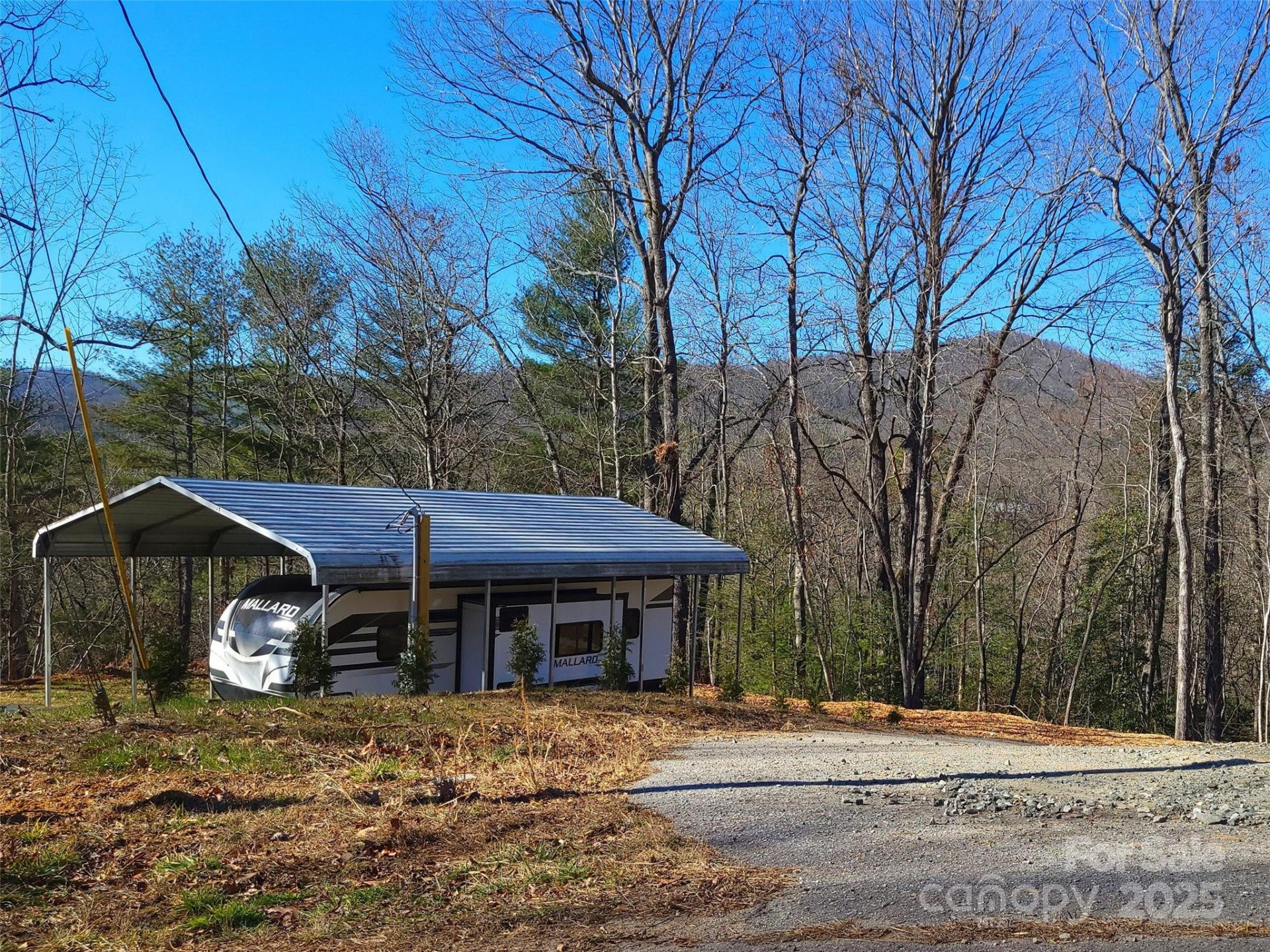 624/586 Turkey Pen Gap Road - Photo 2