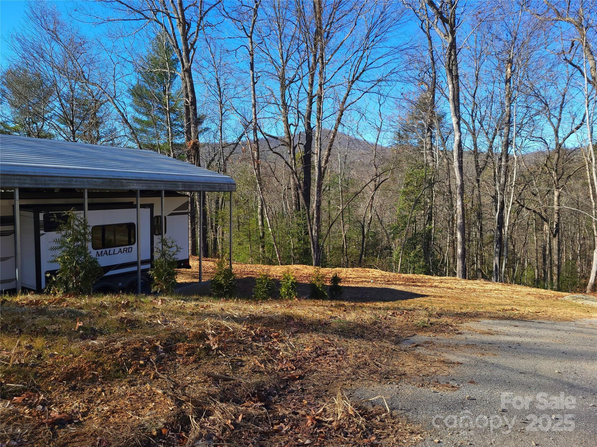 624/586 Turkey Pen Gap Road - Photo 3