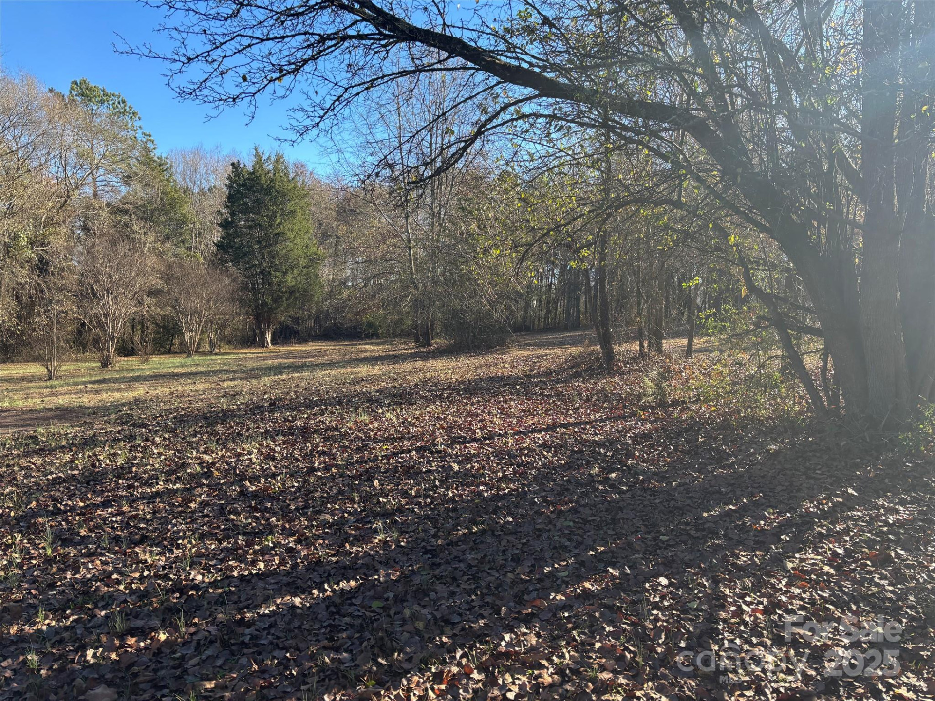 0 Rock Hill Lane - Photo 11