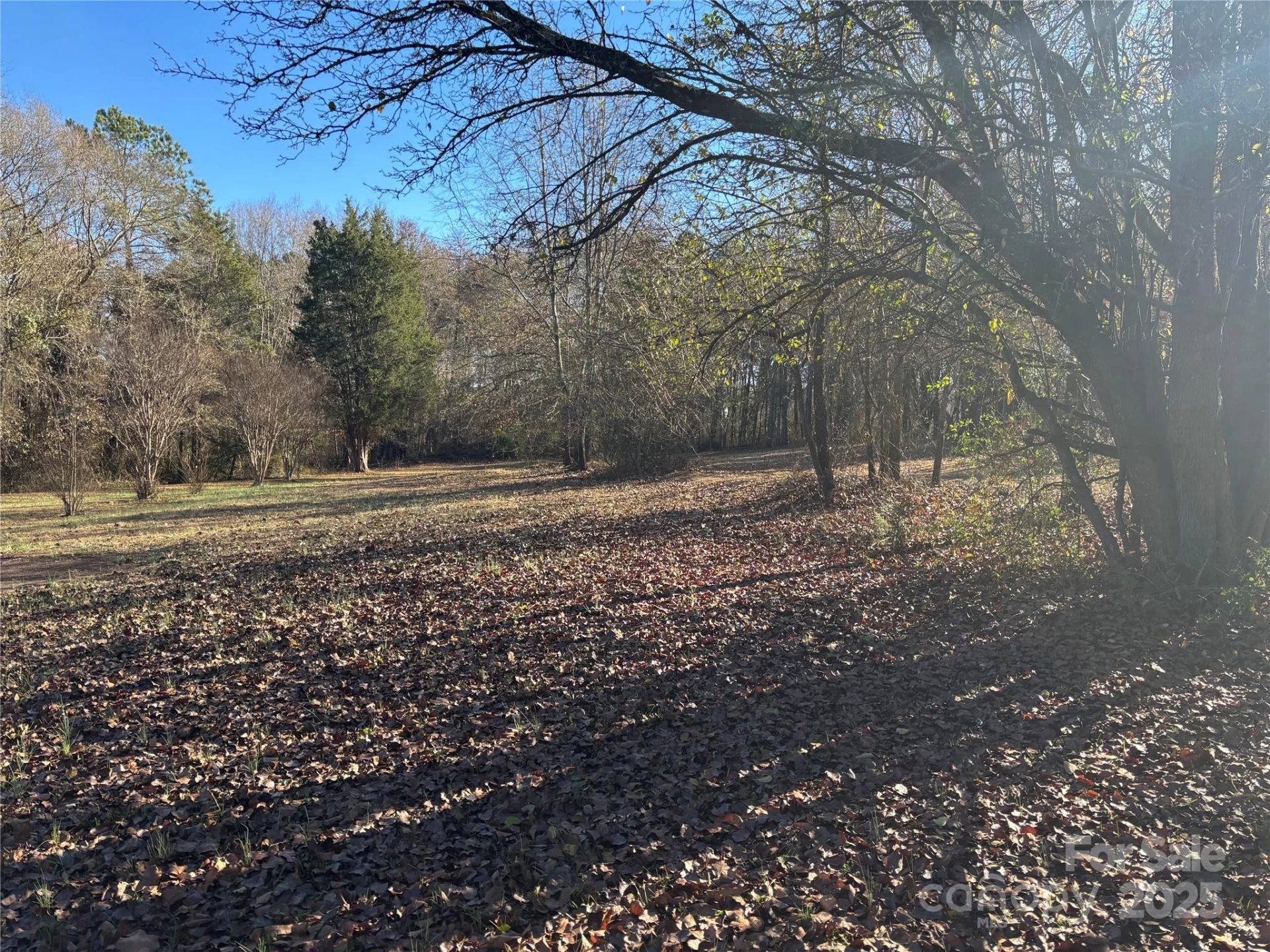 0 Rock Hill Lane - Photo 11