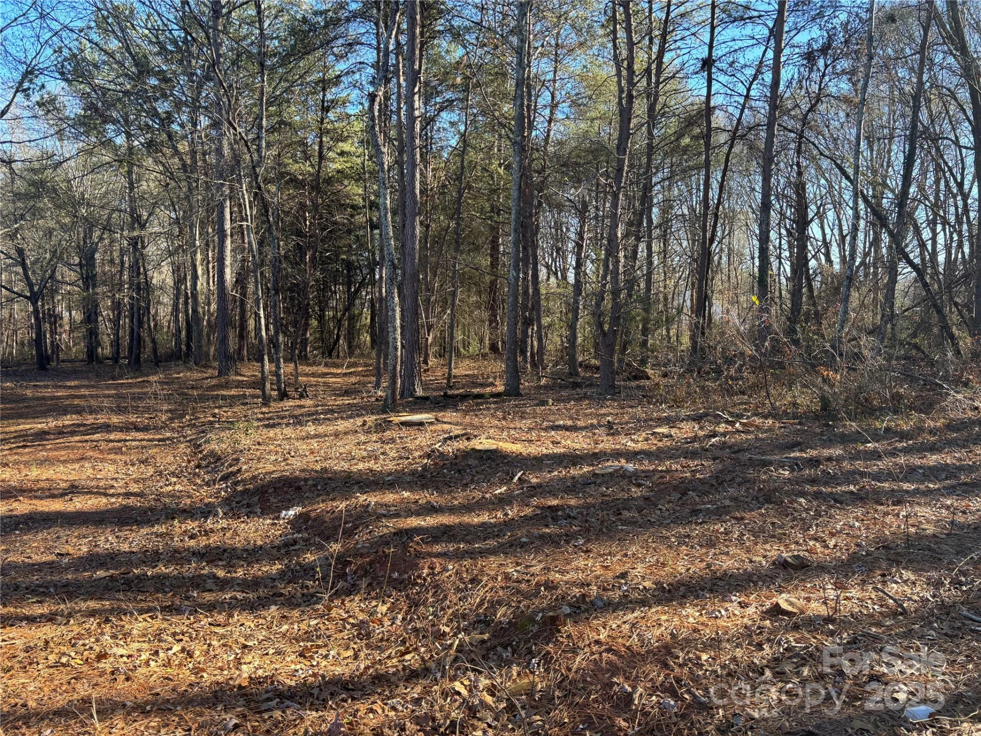0 Rock Hill Lane - Photo 5