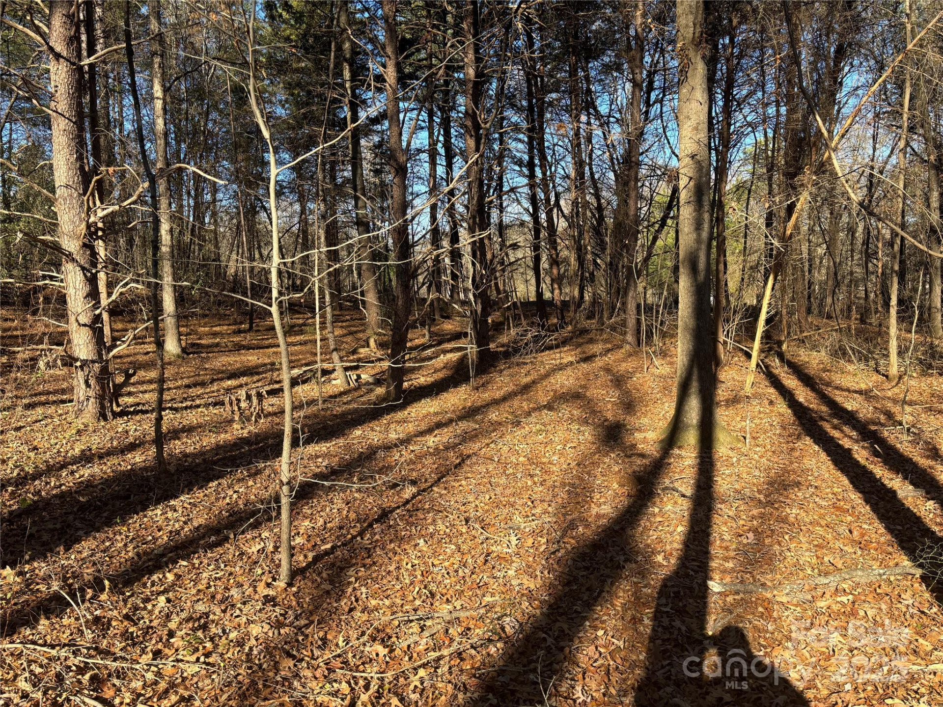 0 Rock Hill Lane - Photo 6