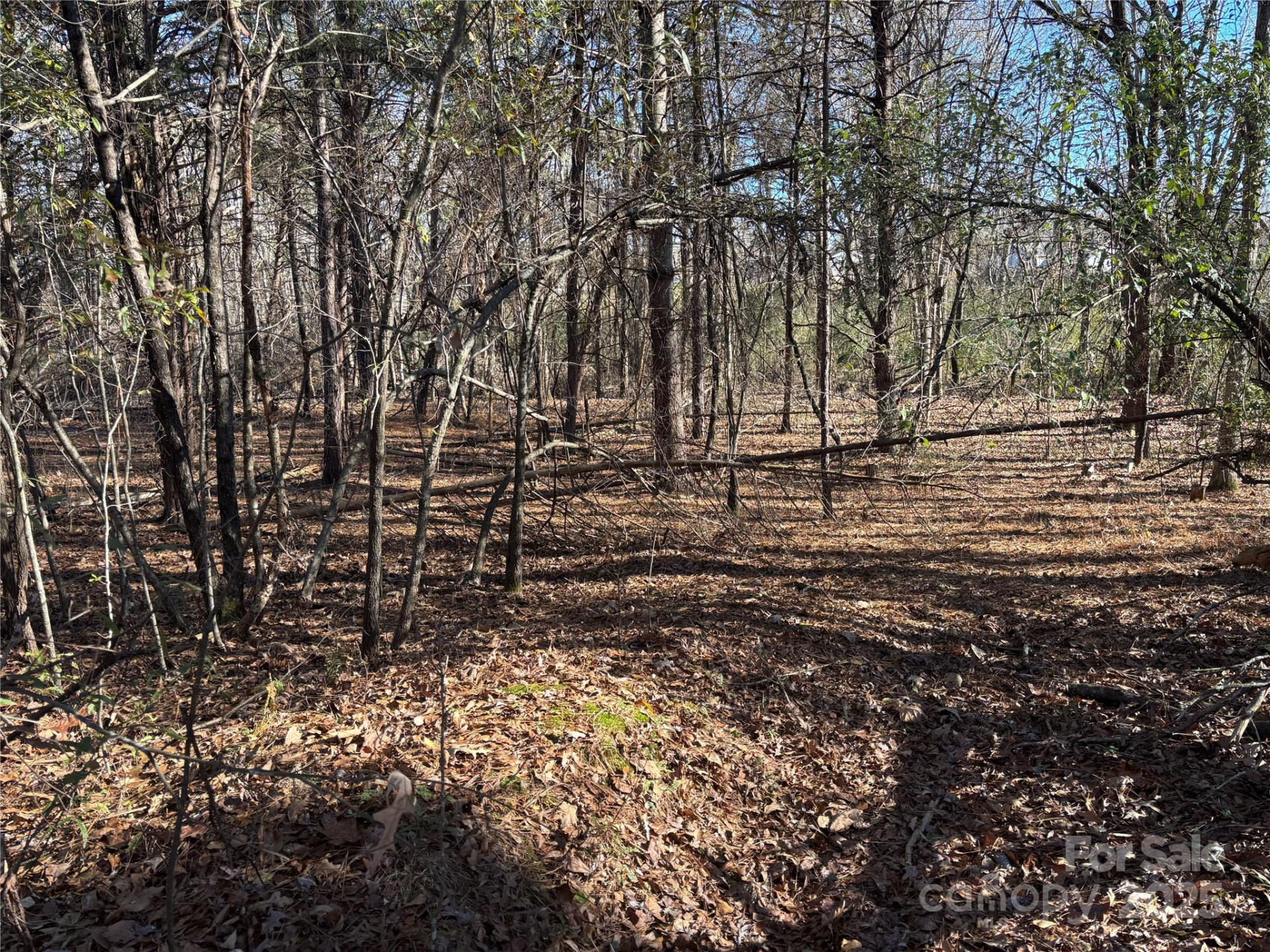 0 Rock Hill Lane - Photo 7