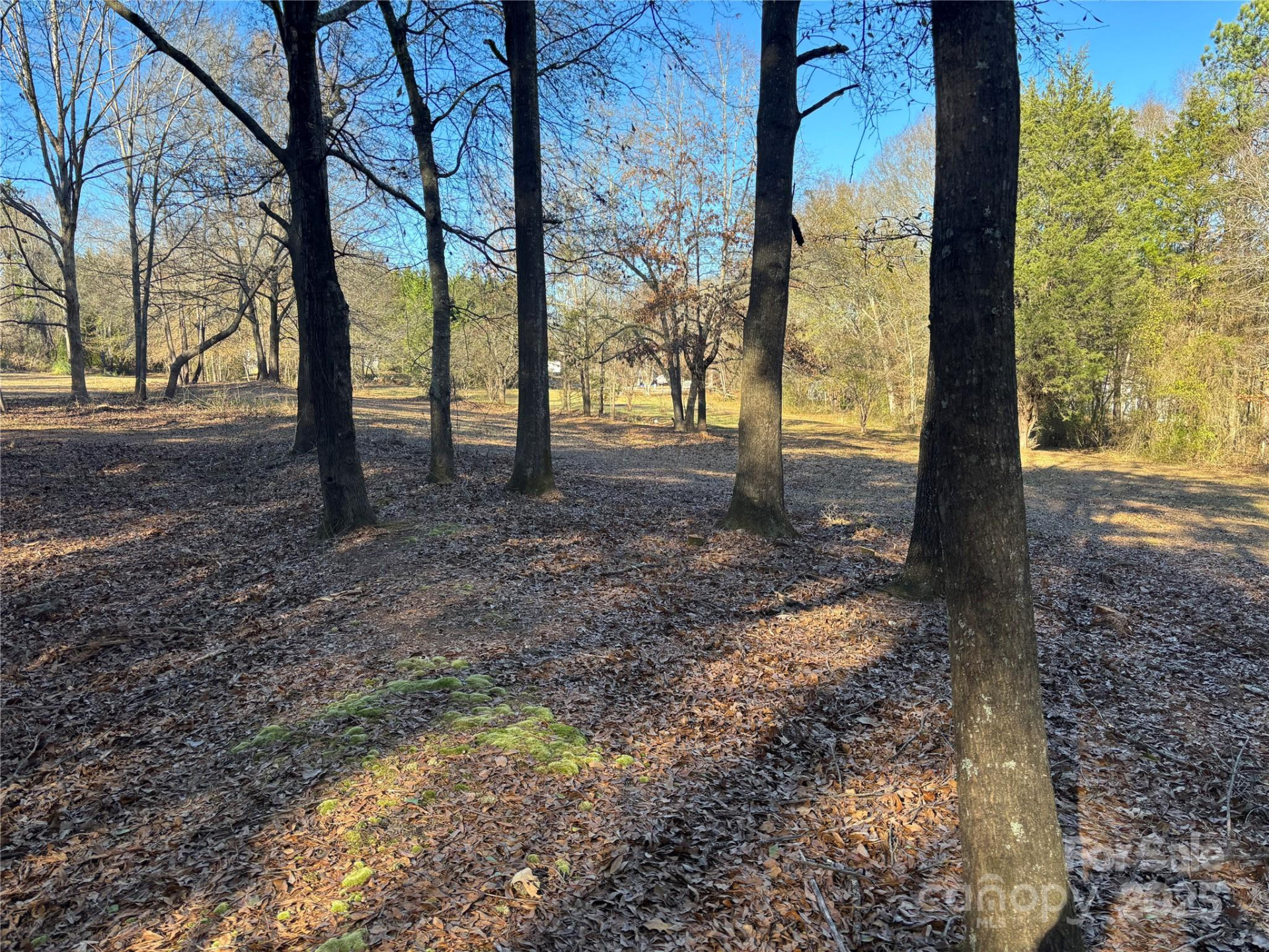 0 Rock Hill Lane - Photo 8