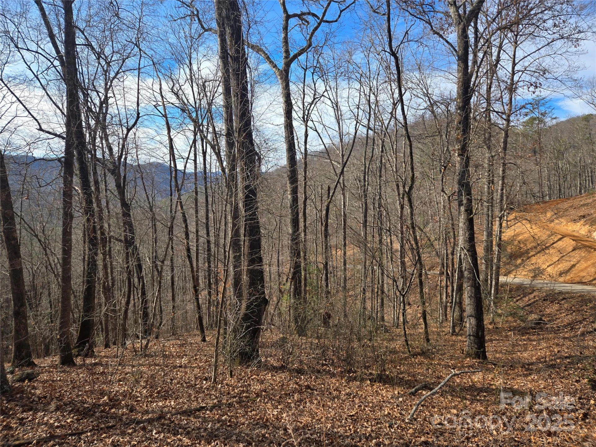 000 Stone Pillow Road #14B - Photo 2