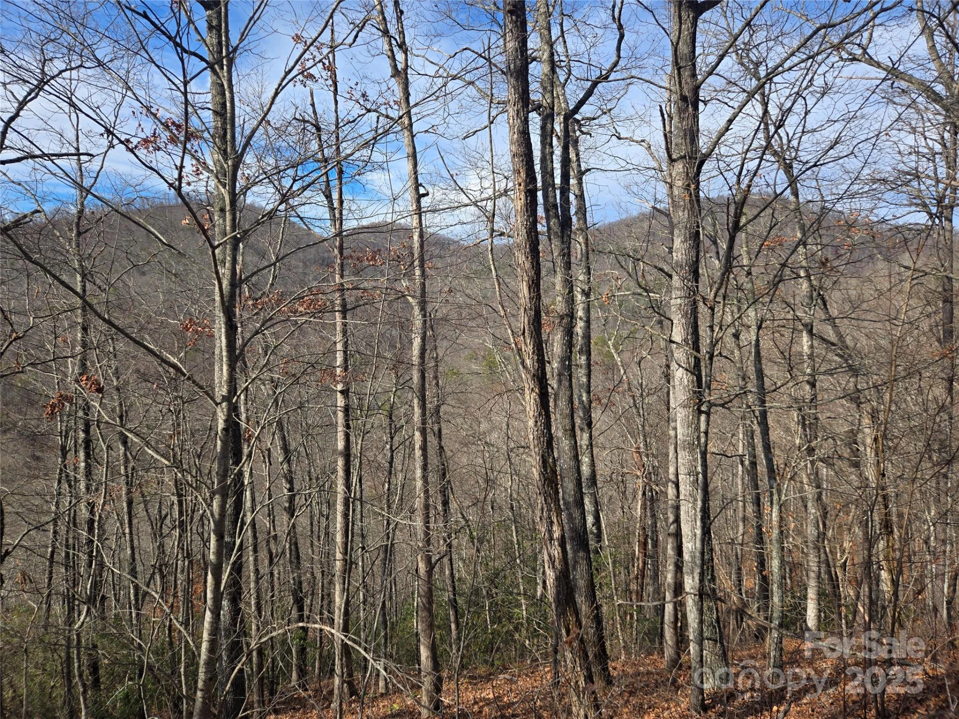 000 Stone Pillow Road #14B - Photo 3