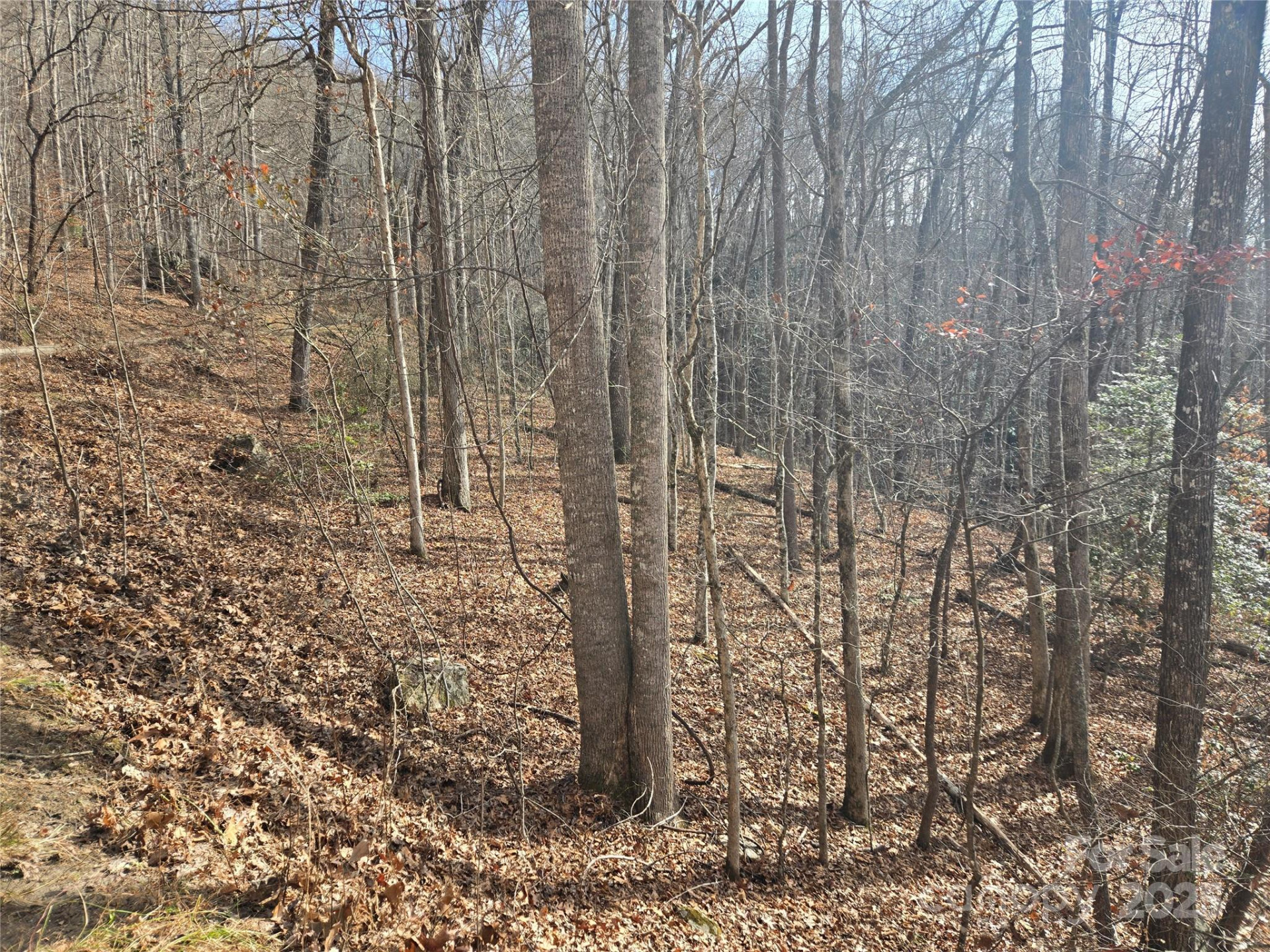 000 Stone Pillow Road #14B - Photo 6