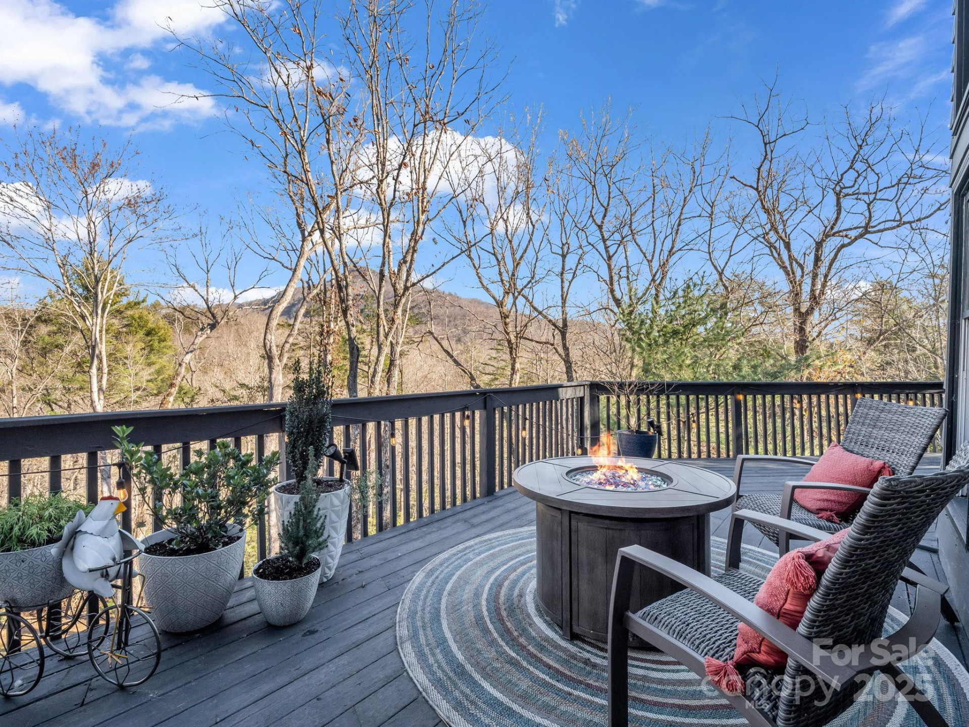 158 Rock Spring Lane - Photo 24