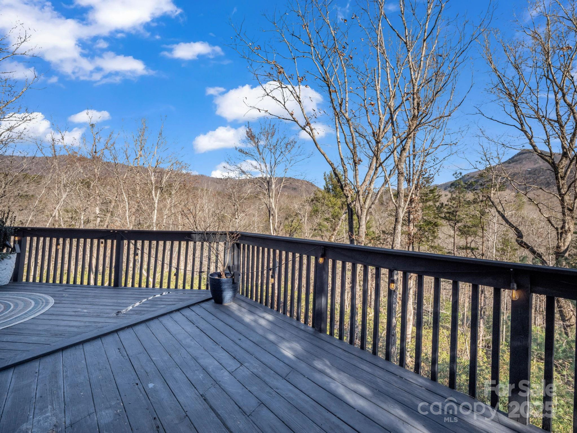 158 Rock Spring Lane - Photo 25