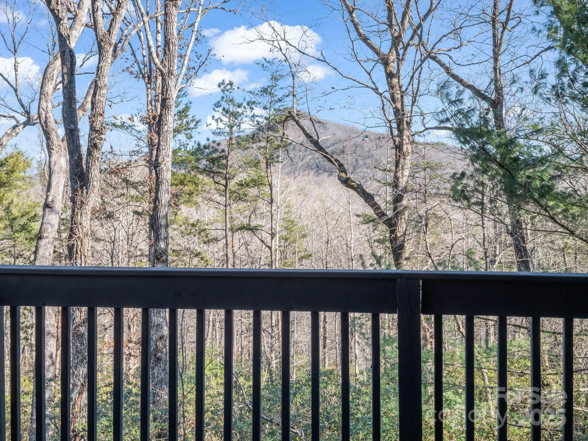 158 Rock Spring Lane - Photo 26