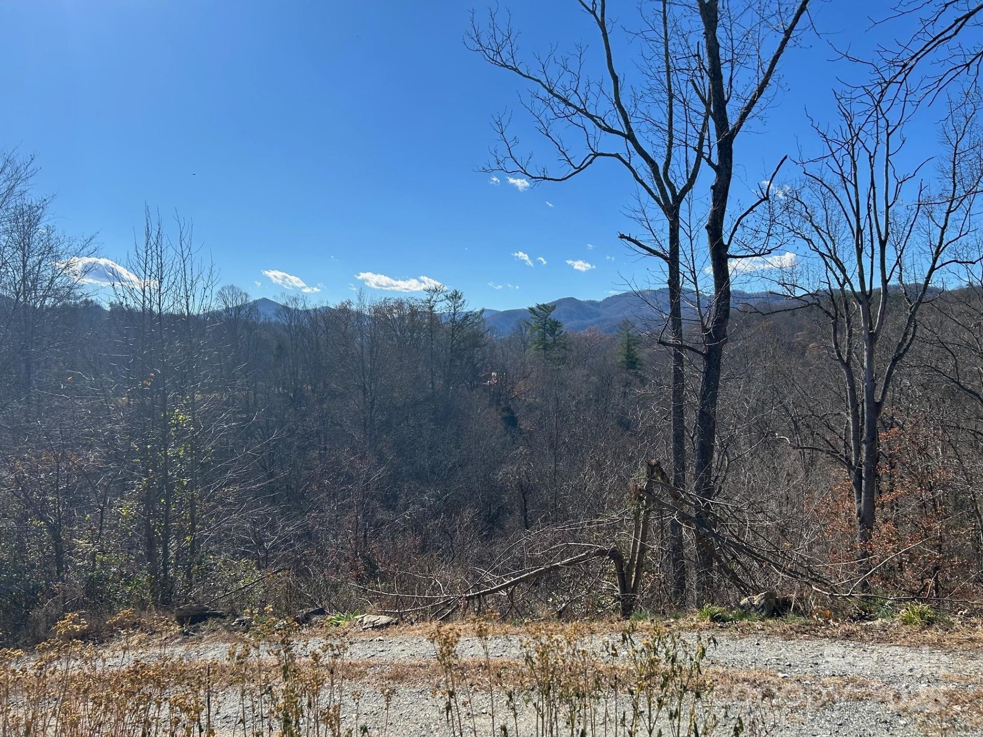 170 Starry Night Lane - Photo 2