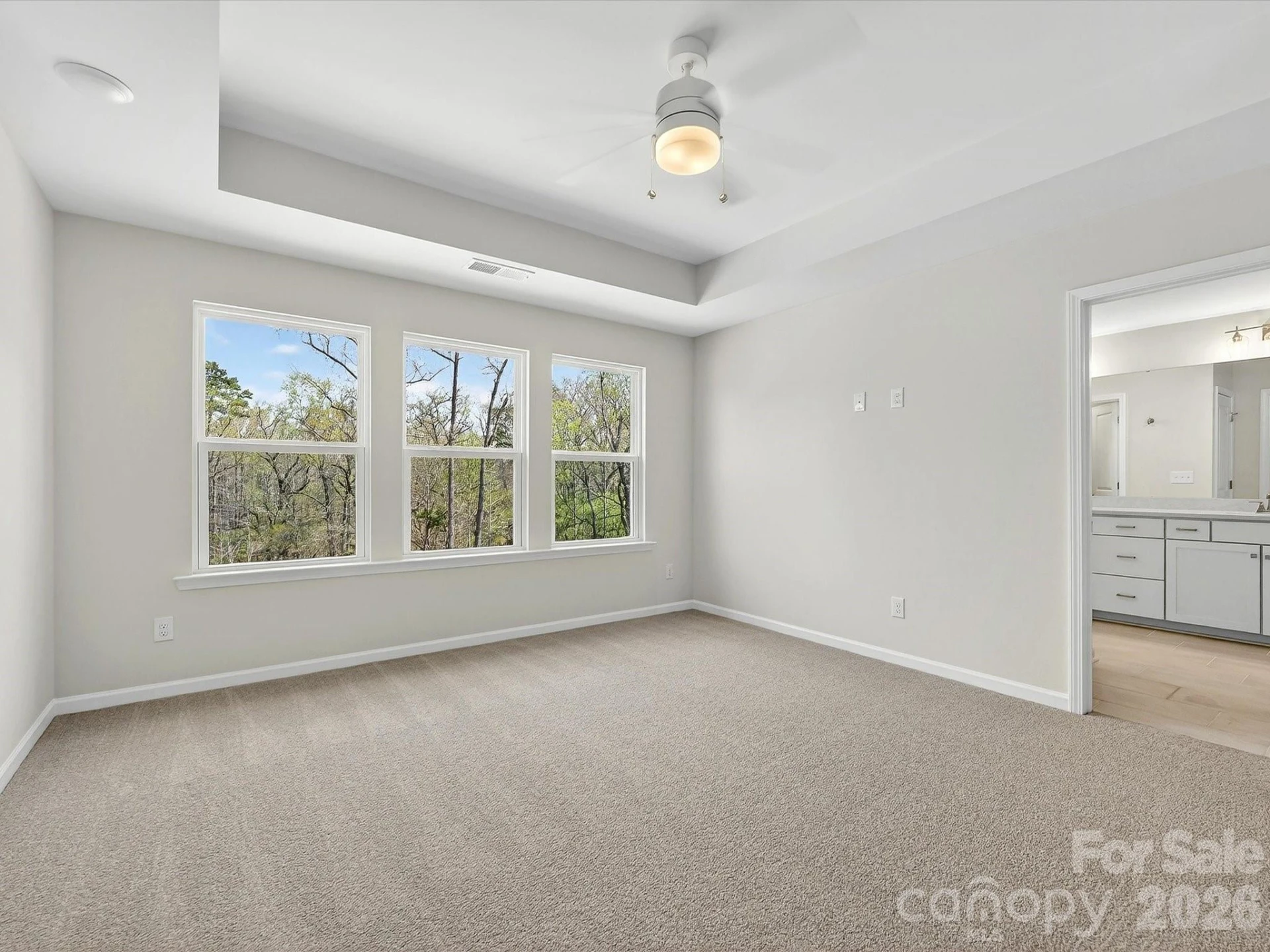 258 Alluvium Lane - Photo 17
