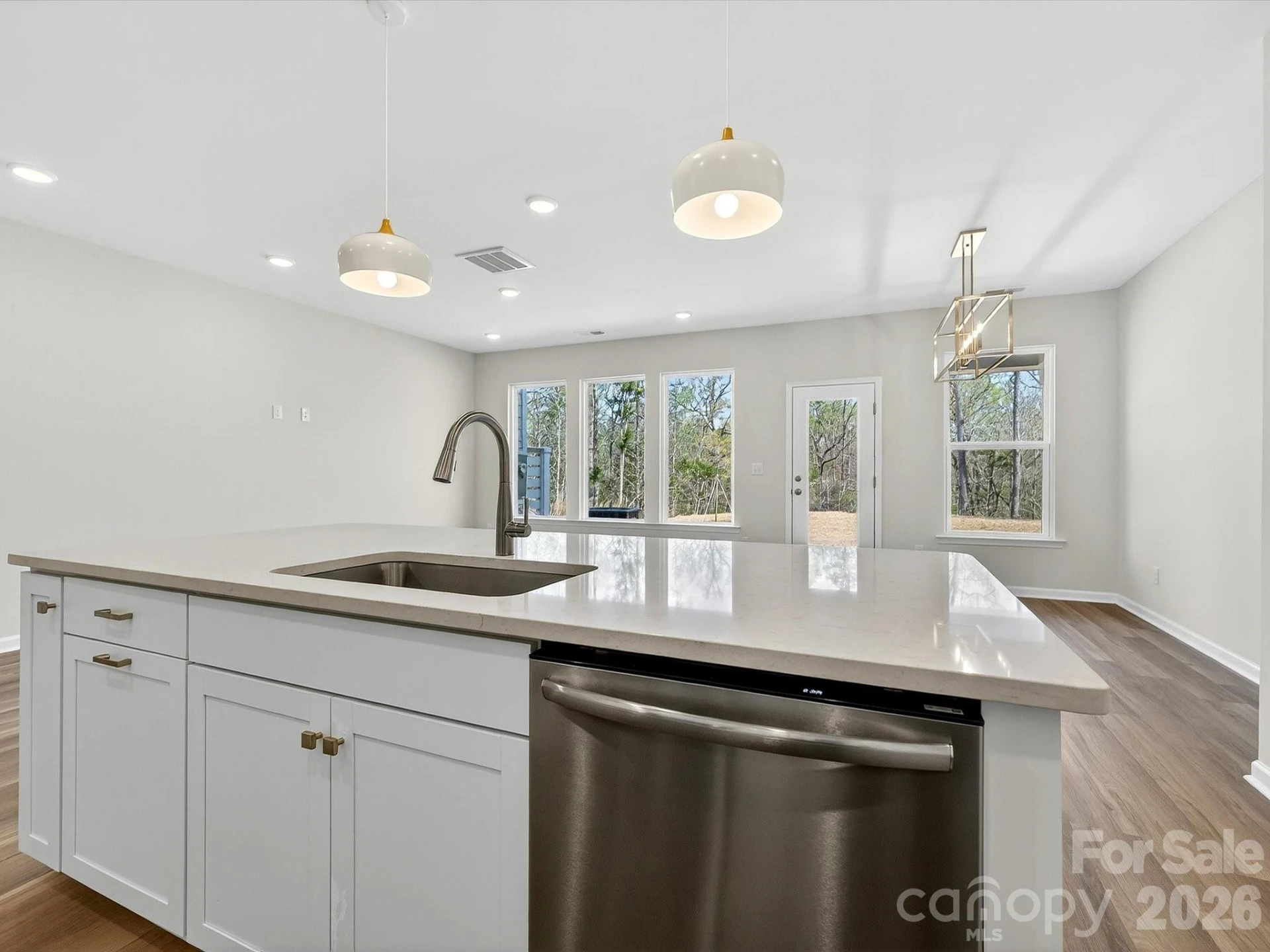 258 Alluvium Lane - Photo 8