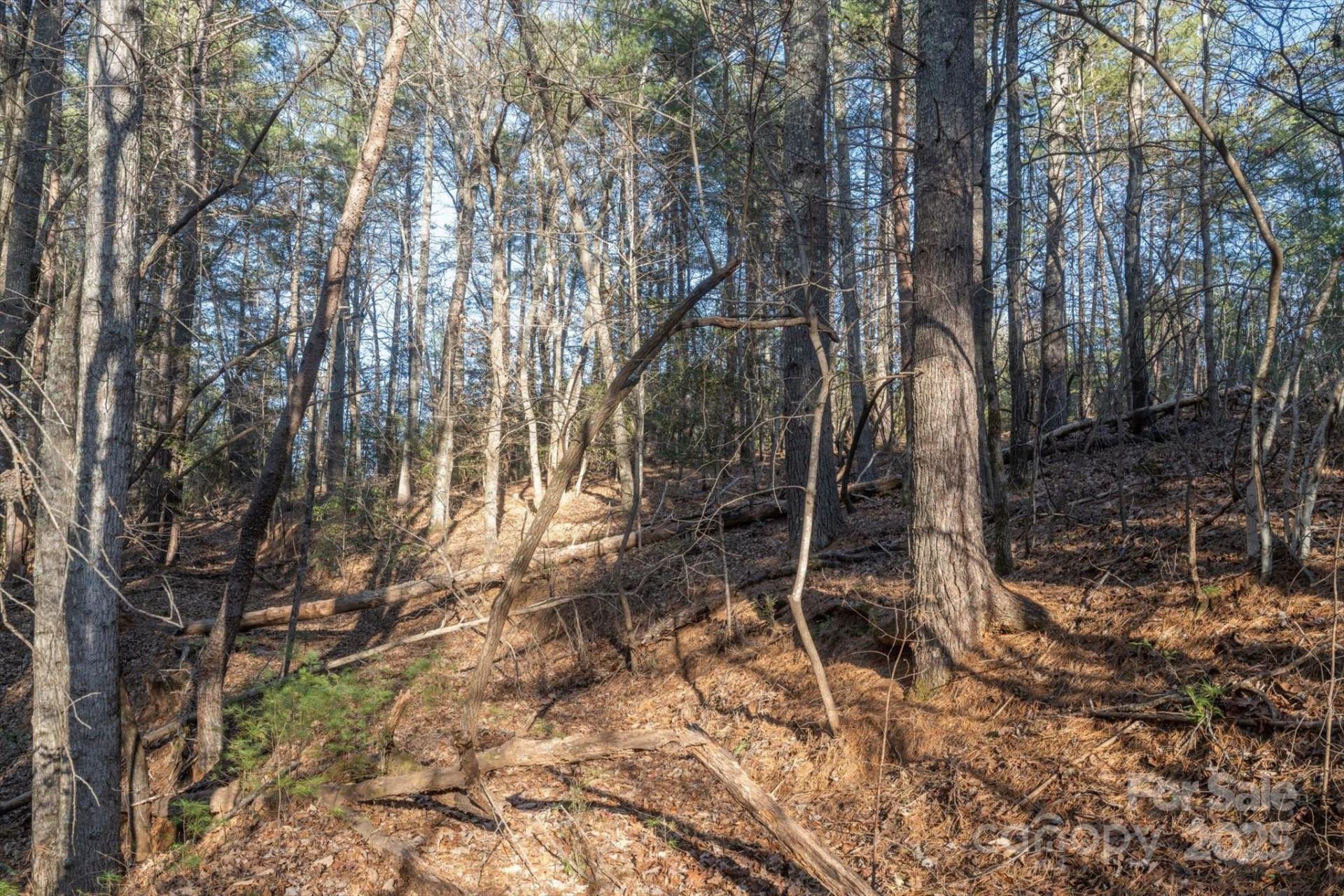 49 Lake James Road - Photo 11