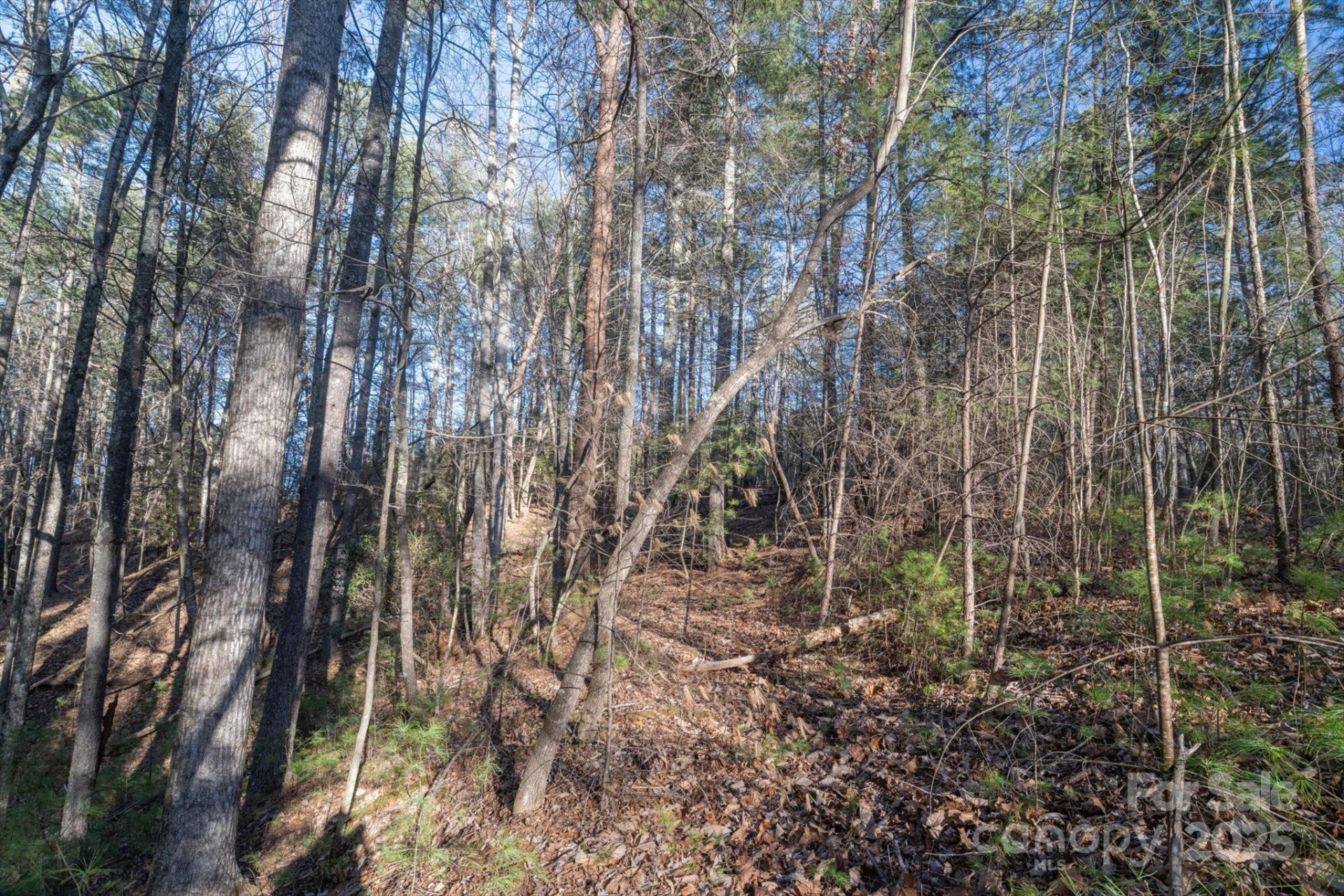 49 Lake James Road - Photo 12