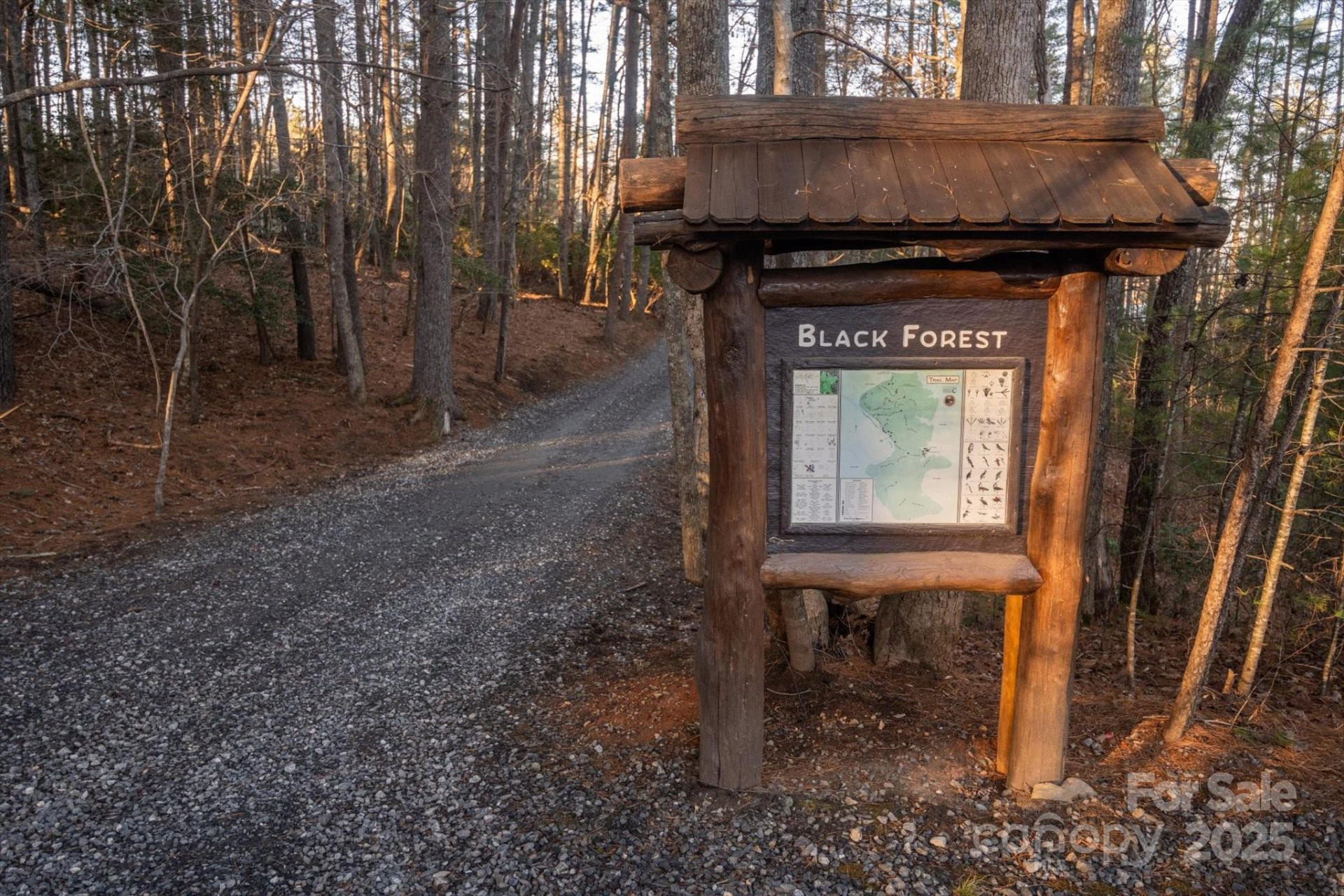 49 Lake James Road - Photo 16