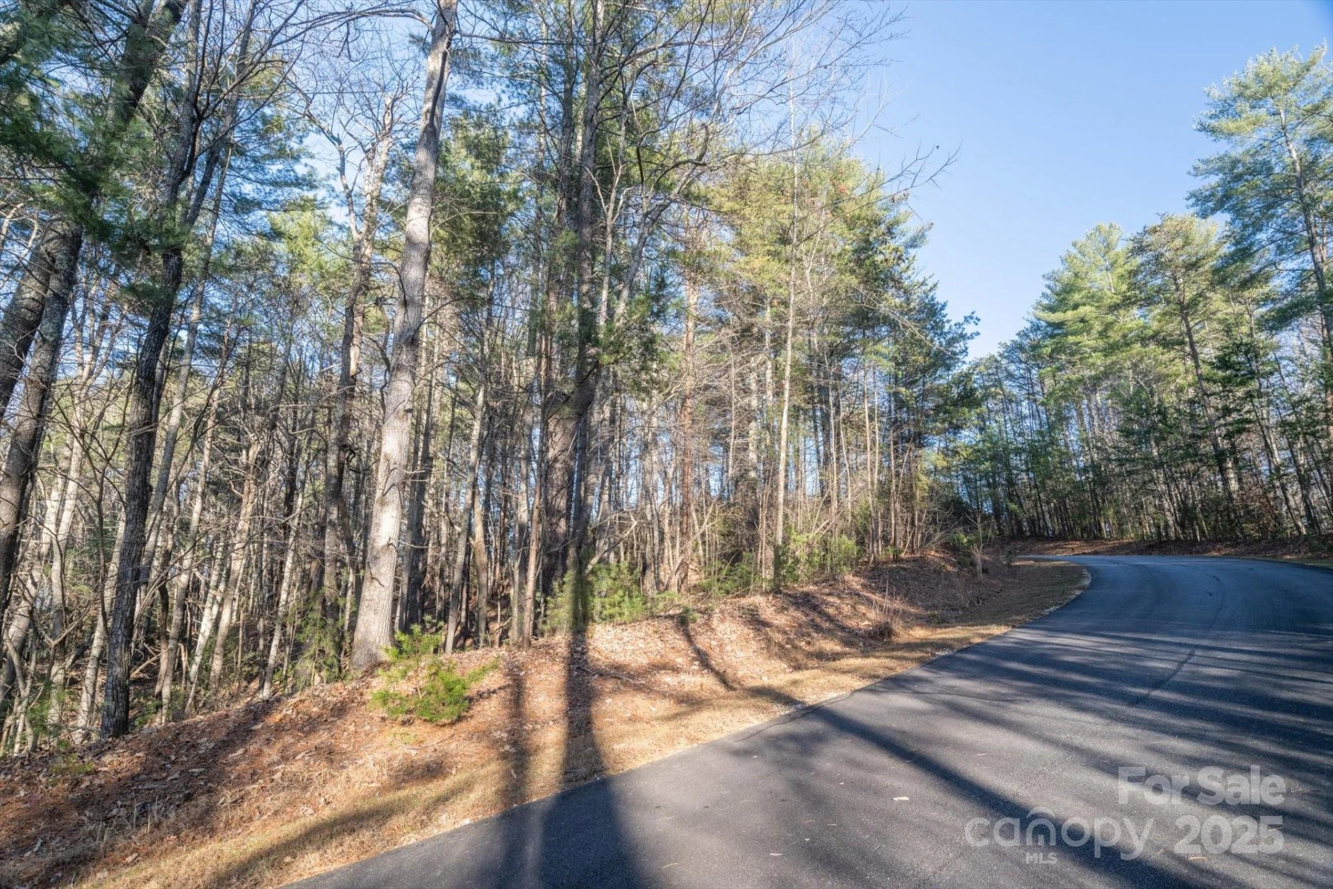 49 Lake James Road - Photo 3