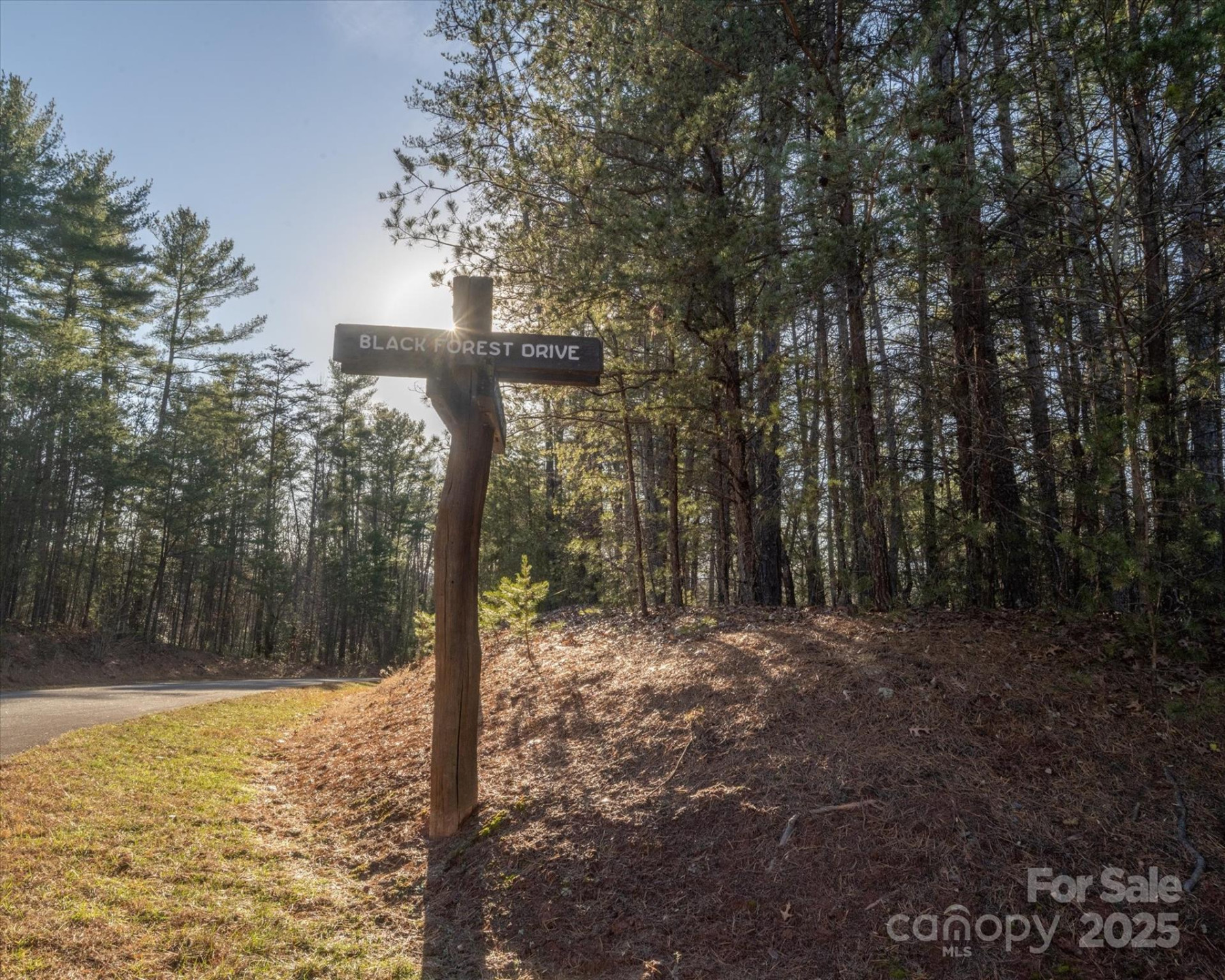 49 Lake James Road - Photo 24