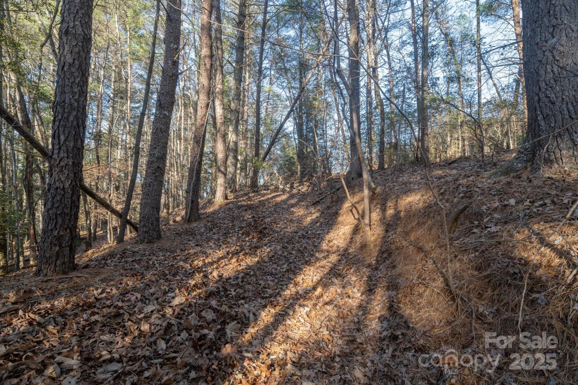 49 Lake James Road - Photo 7