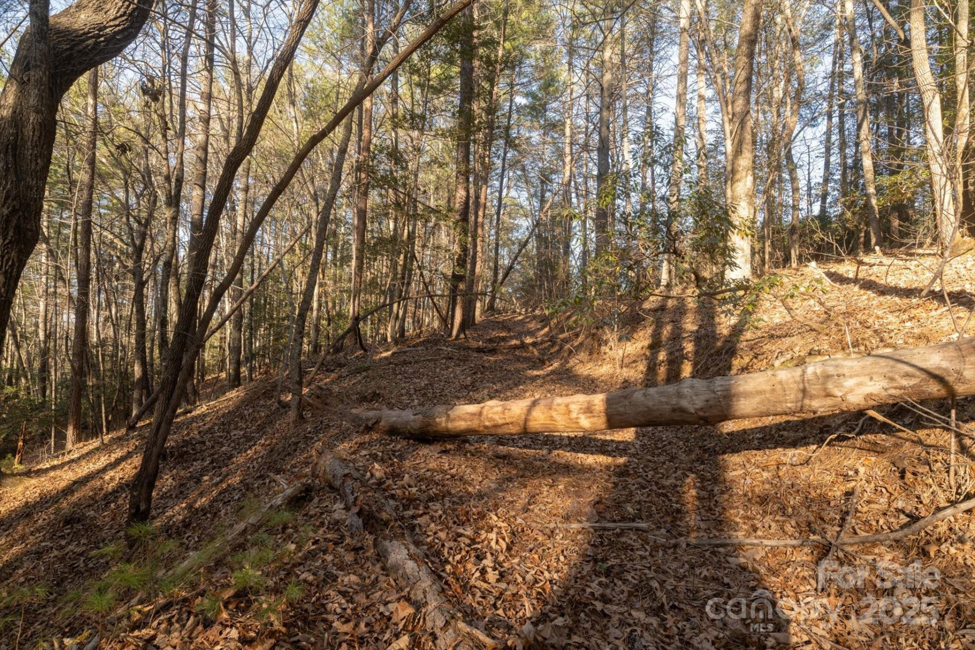 49 Lake James Road - Photo 8