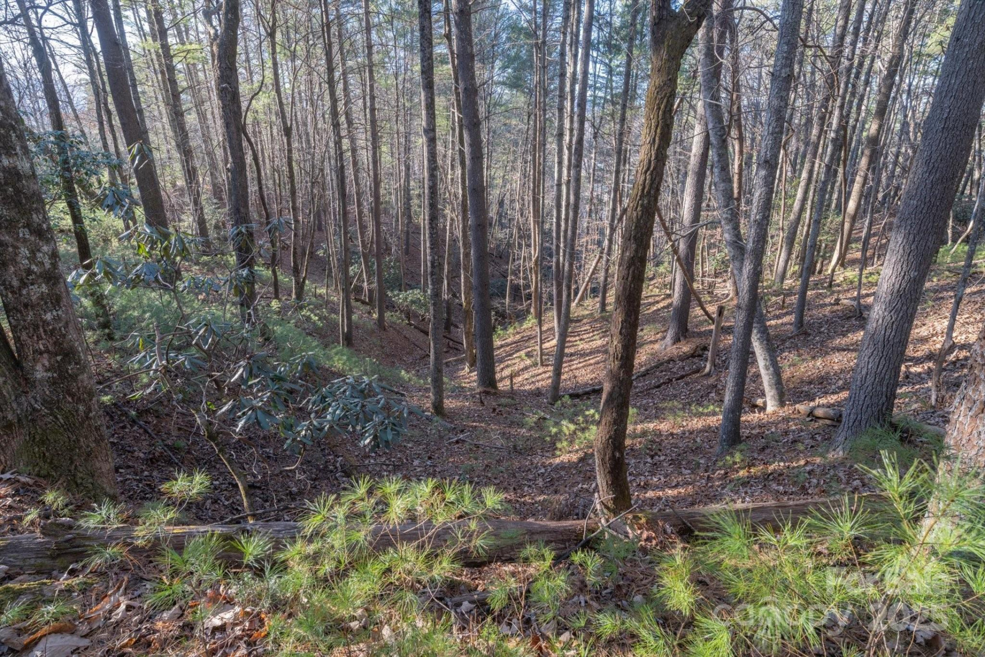 49 Lake James Road - Photo 9