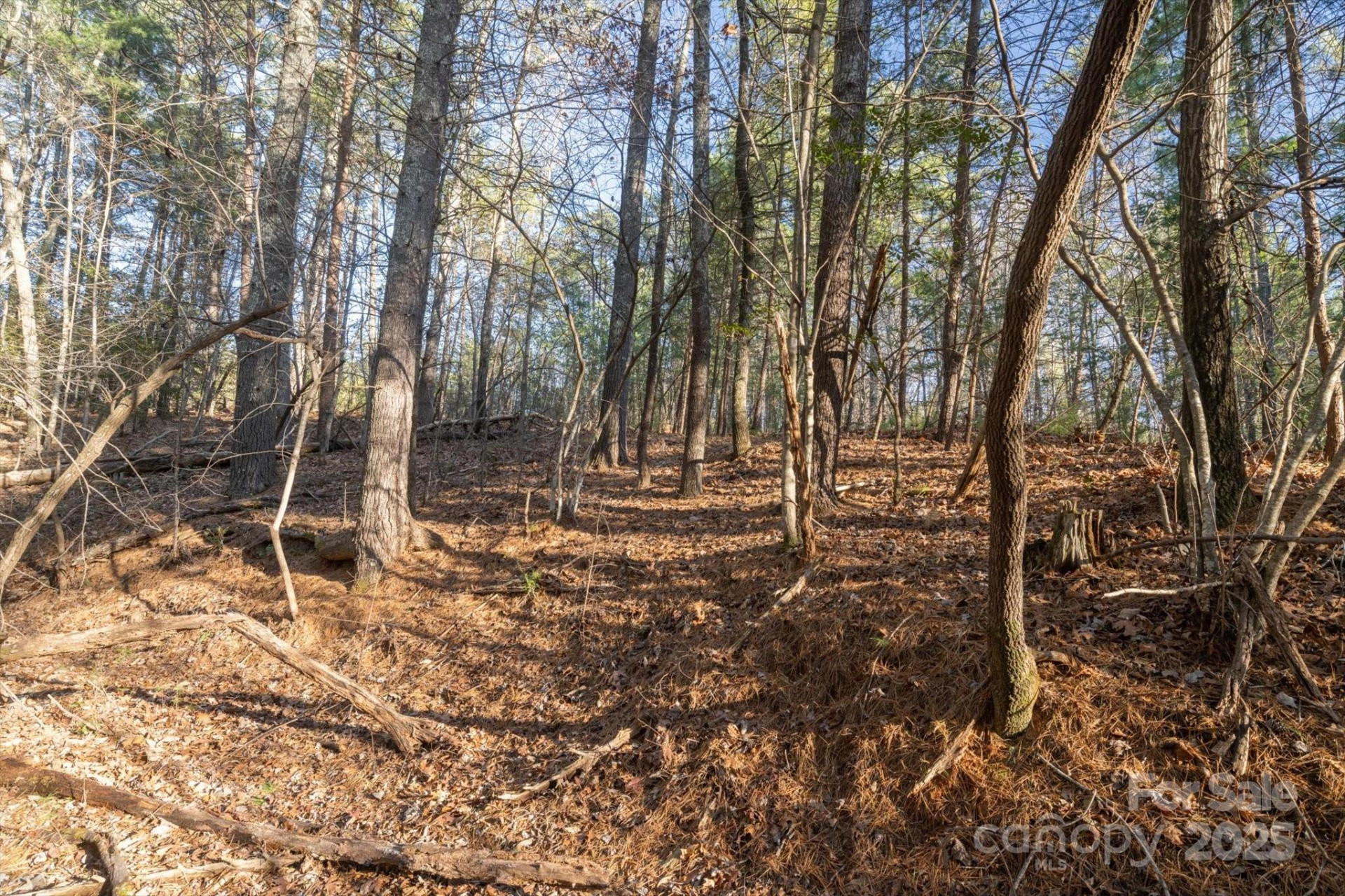 49 Lake James Road - Photo 10