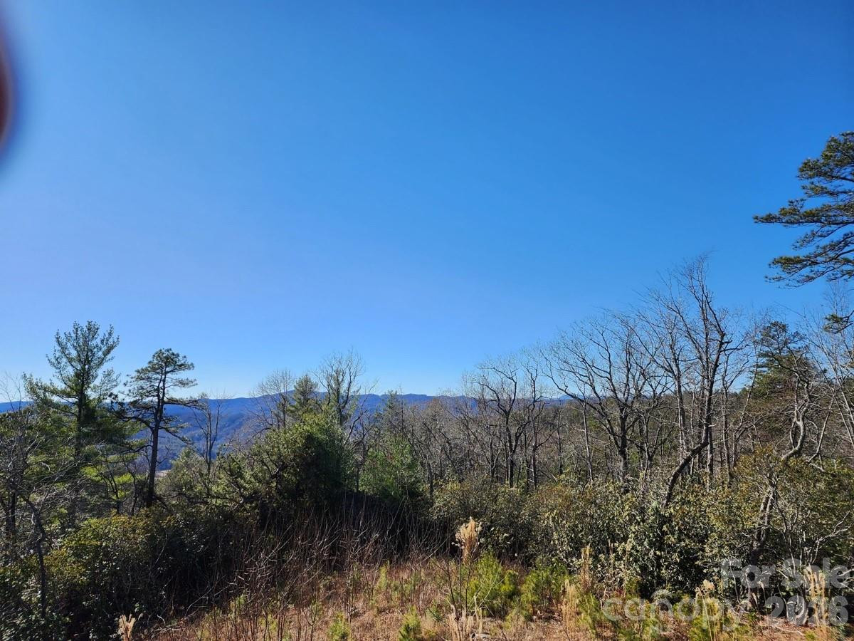 9999 Bulling Creek Road - Photo 2