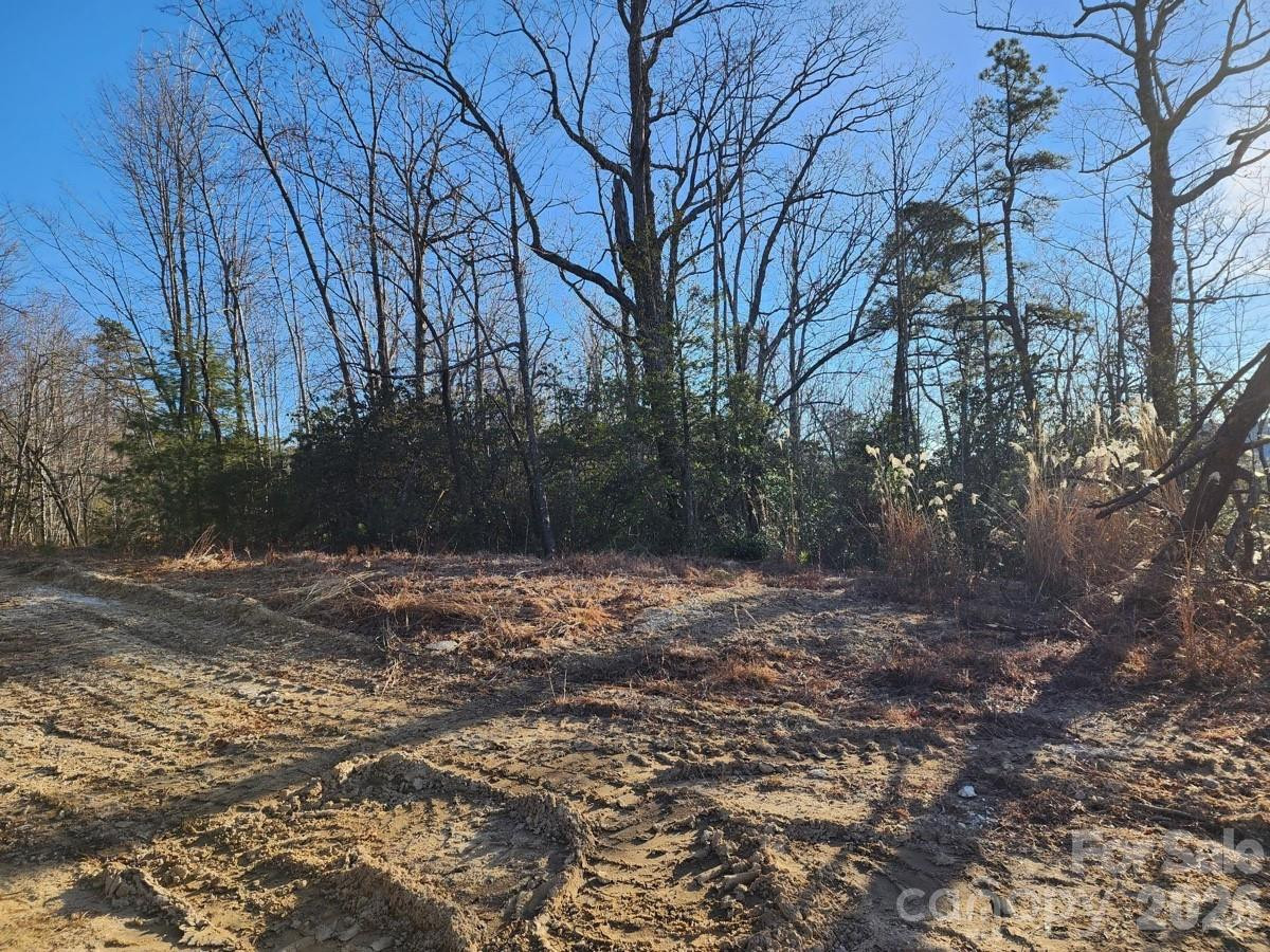 9999 Bulling Creek Road - Photo 3